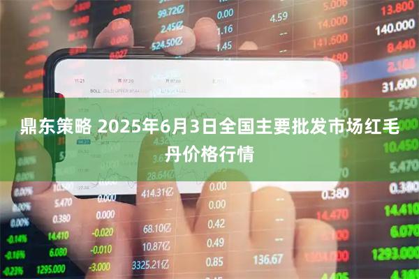 鼎东策略 2025年6月3日全国主要批发市场红毛丹价格行情