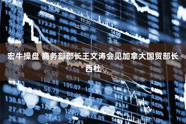 宏牛操盘 商务部部长王文涛会见加拿大国贸部长西杜