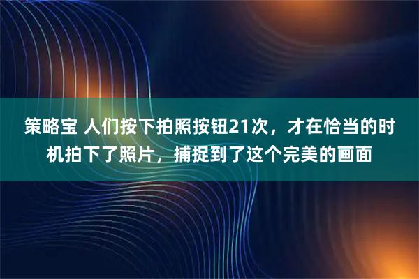 策略宝 人们按下拍照按钮21次，才在恰当的时机拍下了照片，捕捉到了这个完美的画面