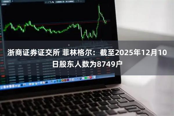 浙商证券证交所 菲林格尔：截至2025年12月10日股东人数为8749户