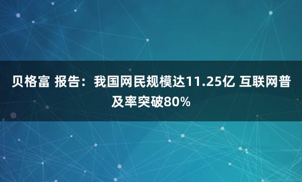 贝格富 报告:我国网民规模达11.25亿 互联网普及率突破80%