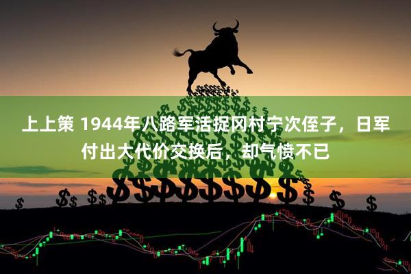 上上策 1944年八路军活捉冈村宁次侄子，日军付出大代价交换后，却气愤不已