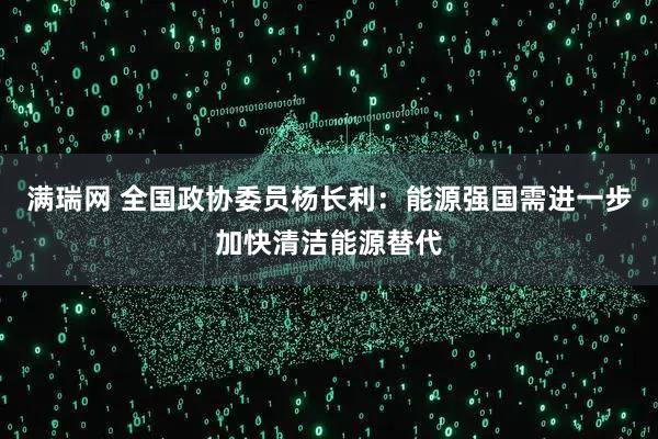 满瑞网 全国政协委员杨长利：能源强国需进一步加快清洁能源替代